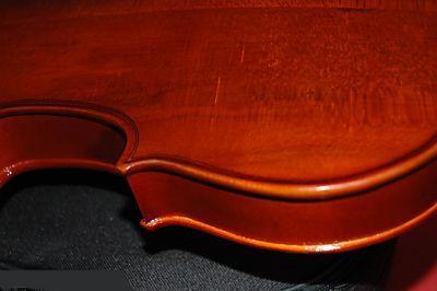 dos de violon
